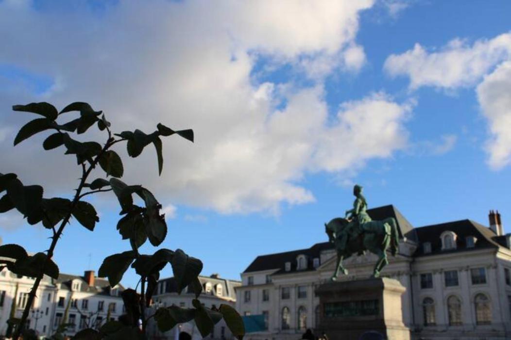 Le Scandinave, Proche Bord De Loire 奥尔良 外观 照片